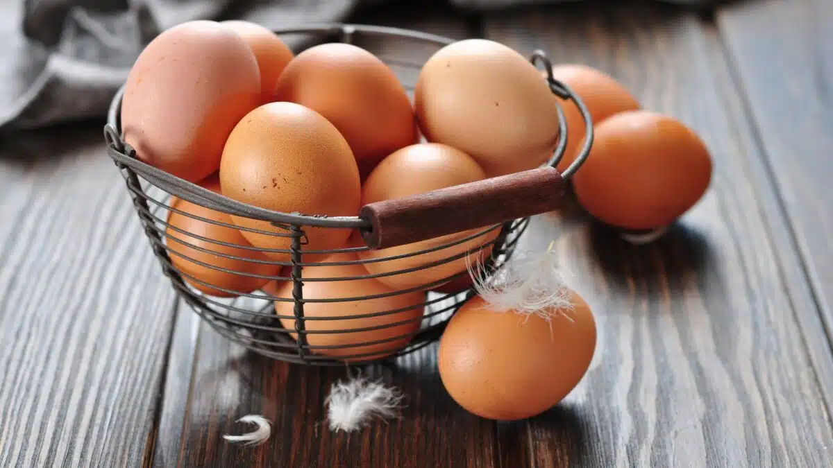 Un chef partage l'endroit parfait pour conserver vos œufs frais longtemps – et ce n'est pas celui auquel vous pensez