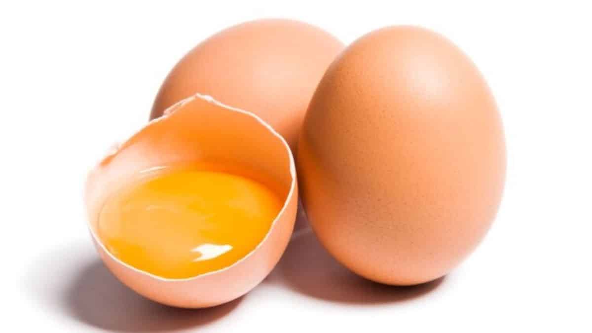 Les œufs : bénéfiques mais à consommer avec précaution