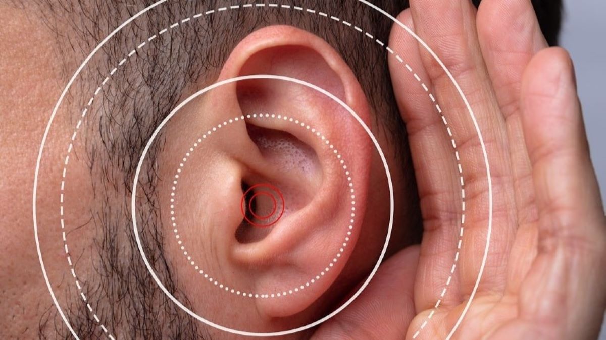 Acouphènes, perte auditive : des médicaments pour prévenir ces troubles causés par le bruit