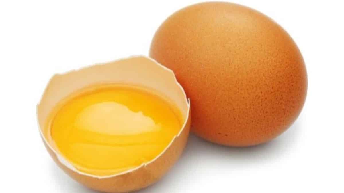 Combien y a-t-il de calories dans un œuf ?