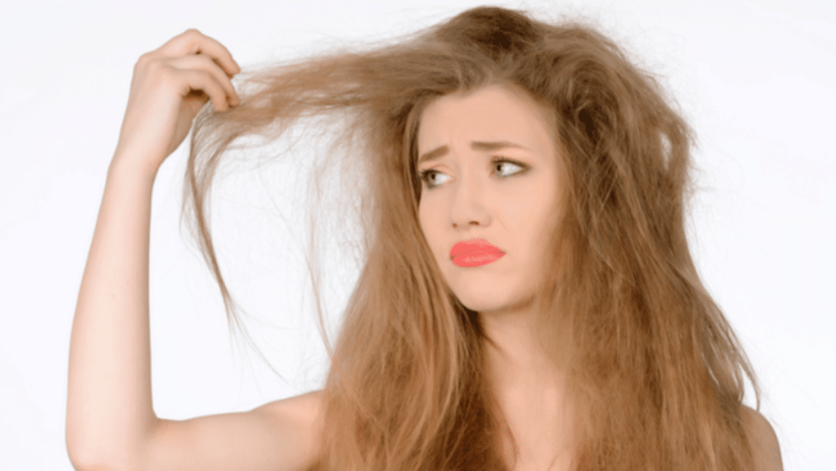 Cheveux secs et abîmés : ces 3 ingrédients les réparent et les renforcement durablement