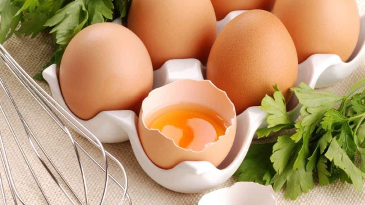 Ce type d’œuf est celui que vous devriez toujours choisir lorsque vous les préparez à la coque