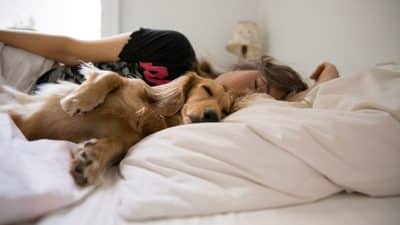 Dormir avec un chien est-il bon pour son sommeil ?